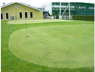 パッティンググリーン